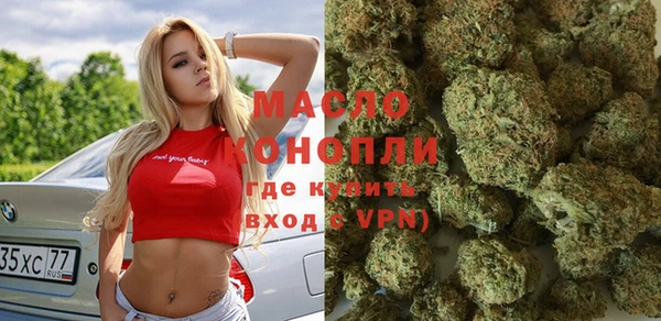 шишки Абаза