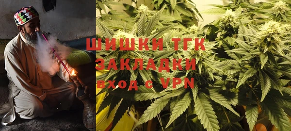 шишки Абаза