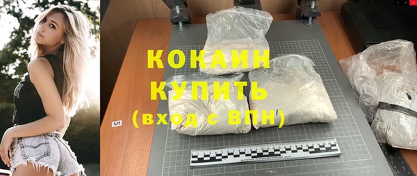 шишки Абаза